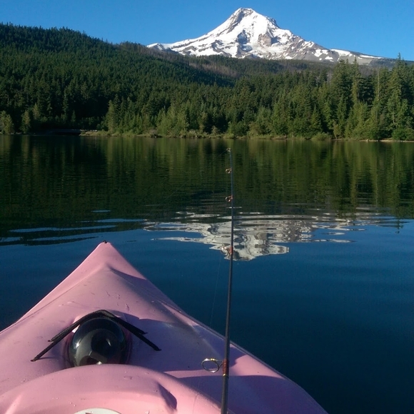 Meet your Posh-bro, Logan - Picture 5 of 9